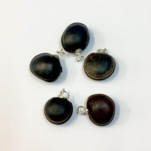 Colgante Ojo de Buey - semilla